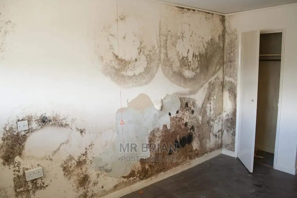 Damp Proof Texture Paint for Peeling Walls