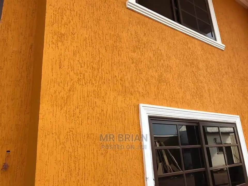 Damp Proof Texture Paint for Peeling Walls