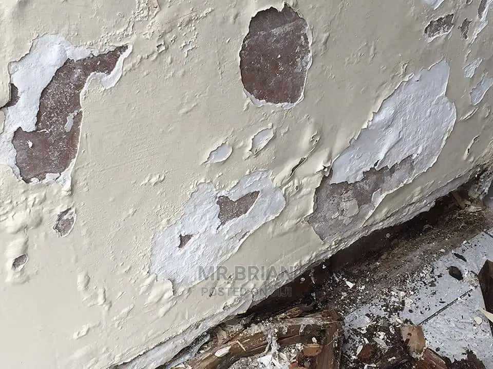 Damp Proof Texture Paint for Peeling Walls