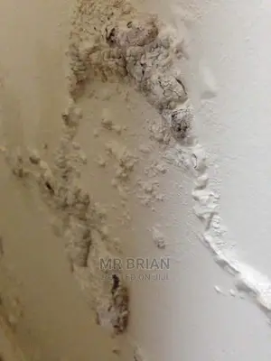 Damp Proof Texture Paint for Peeling Walls