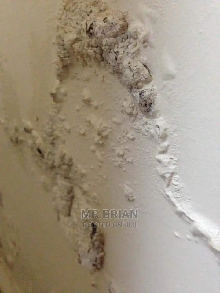 Damp Proof Texture Paint for Peeling Walls