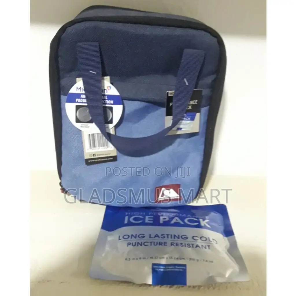Arctic Zone Insulated Lunch Box
