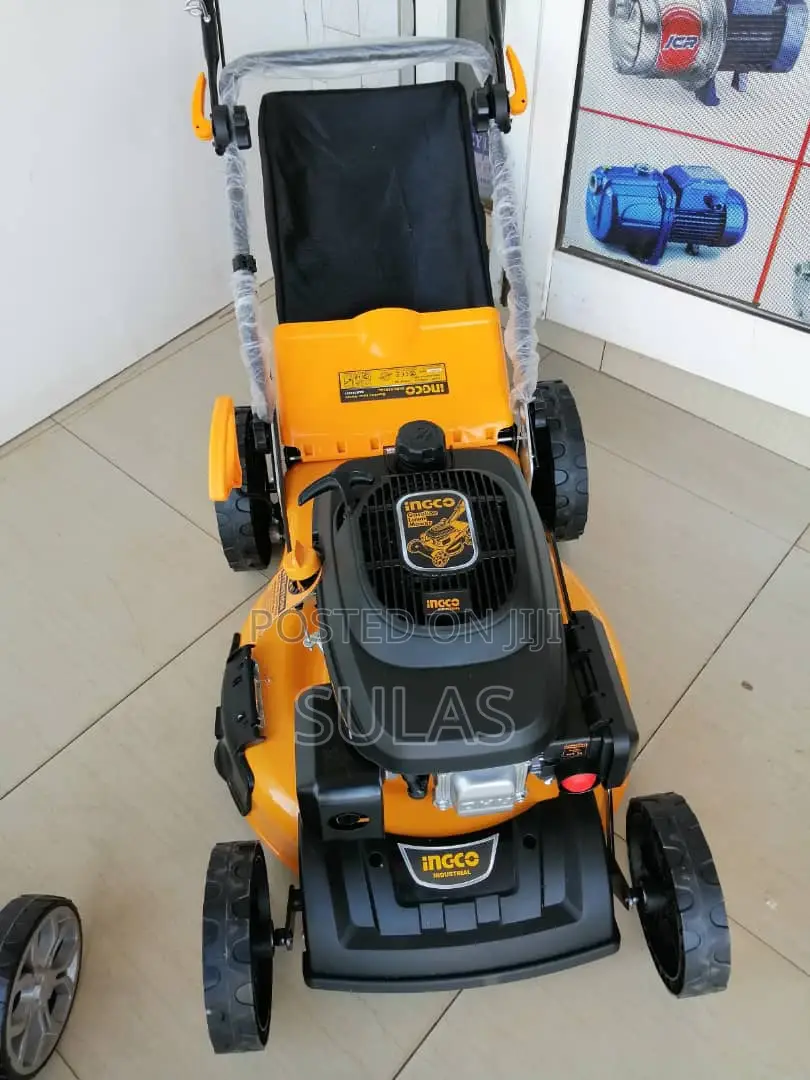 Brand New in Box Ingco Gasoline Lawn Mower 4.8hp for 1,900