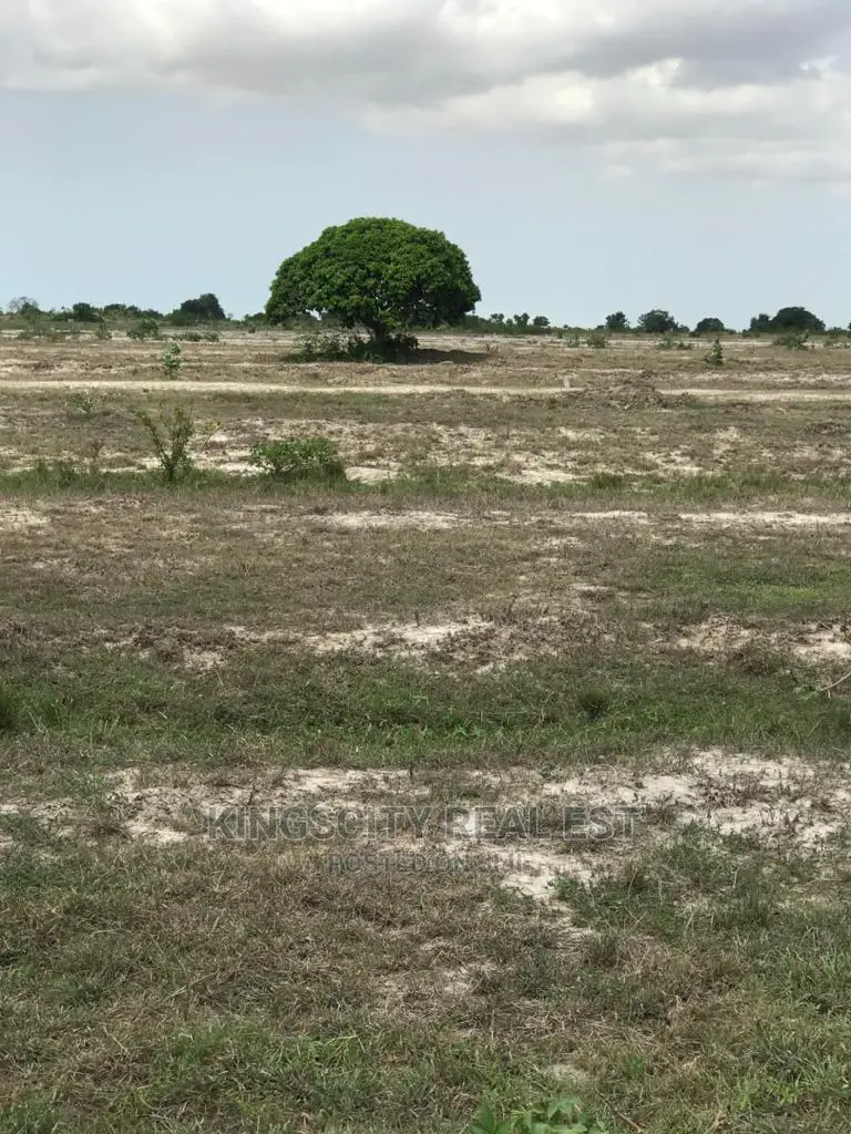Well Developing Area Land at Tsopoli for Sale