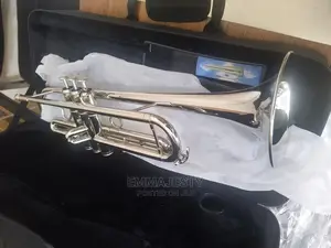 Trumpet Silver Colour