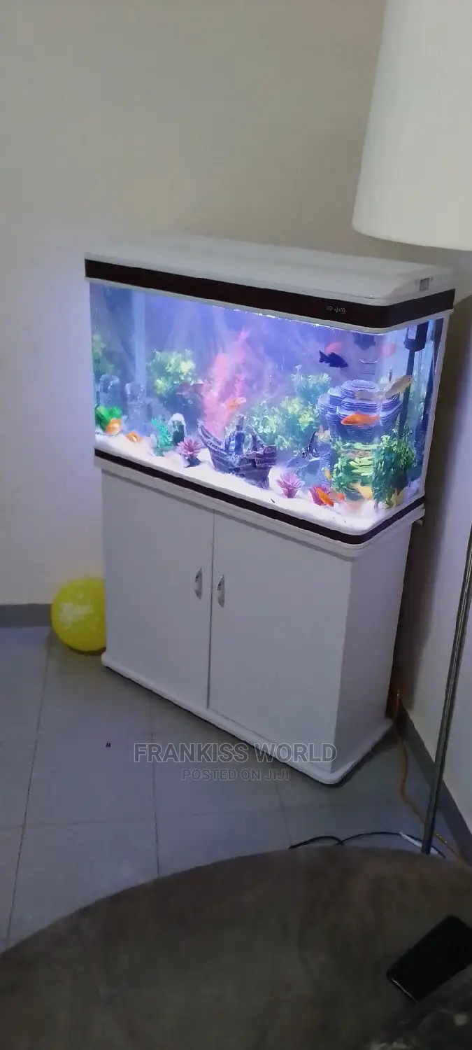 My Royal Aquarium