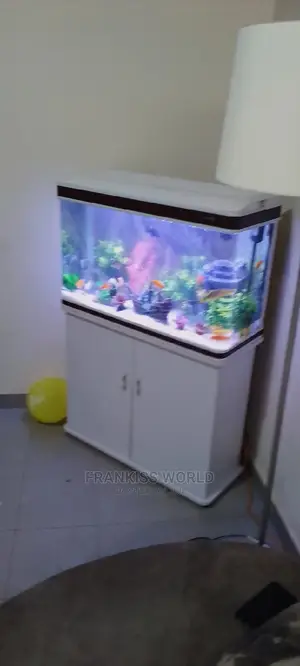 My Royal Aquarium
