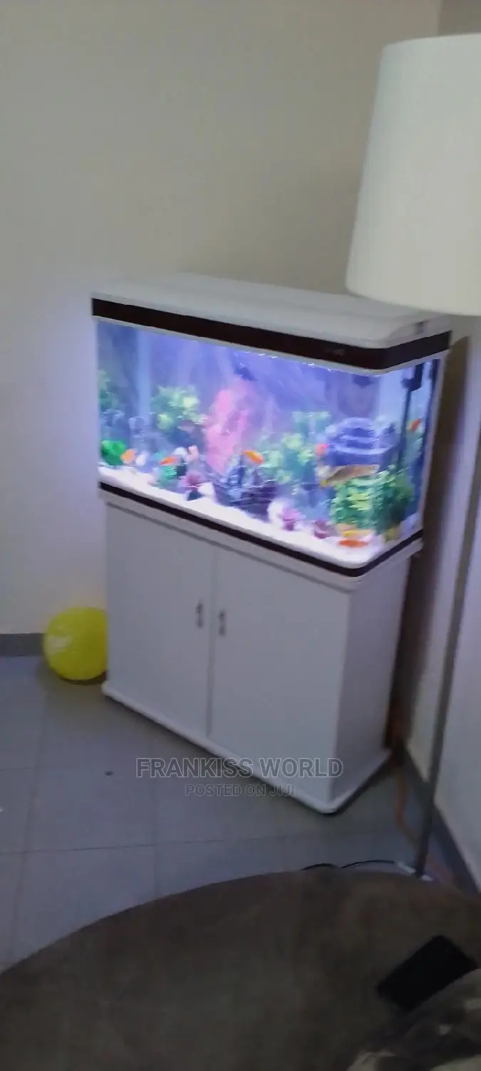 My Royal Aquarium