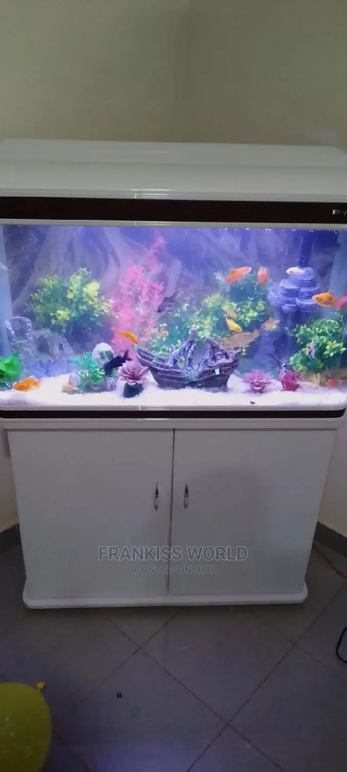 My Royal Aquarium