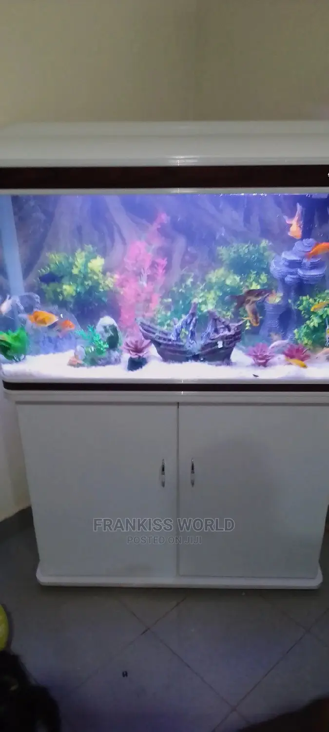 My Royal Aquarium