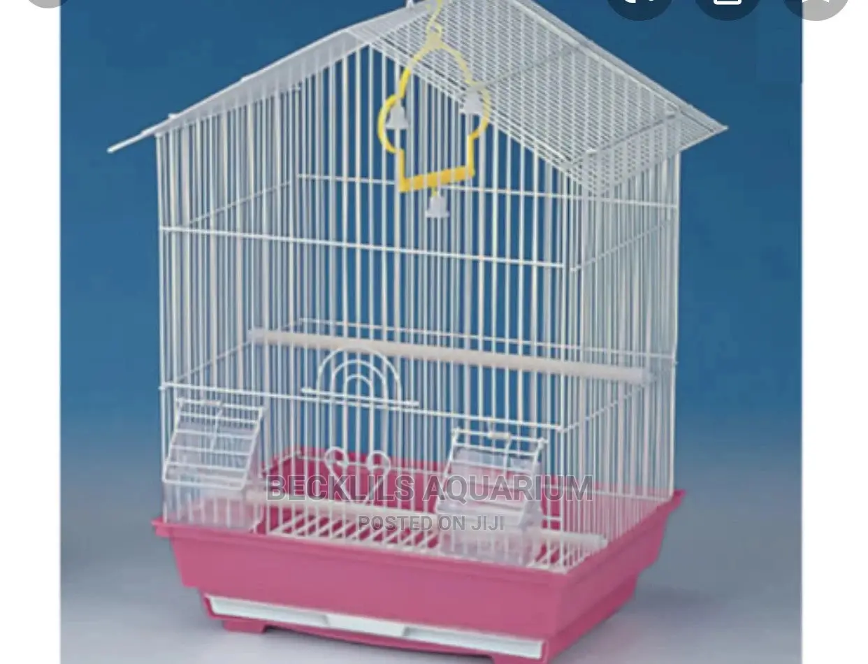 Birds Cages
