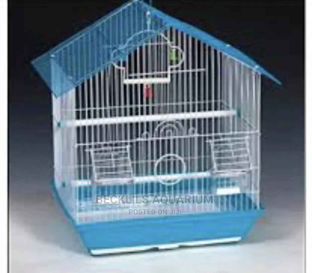 Birds Cages