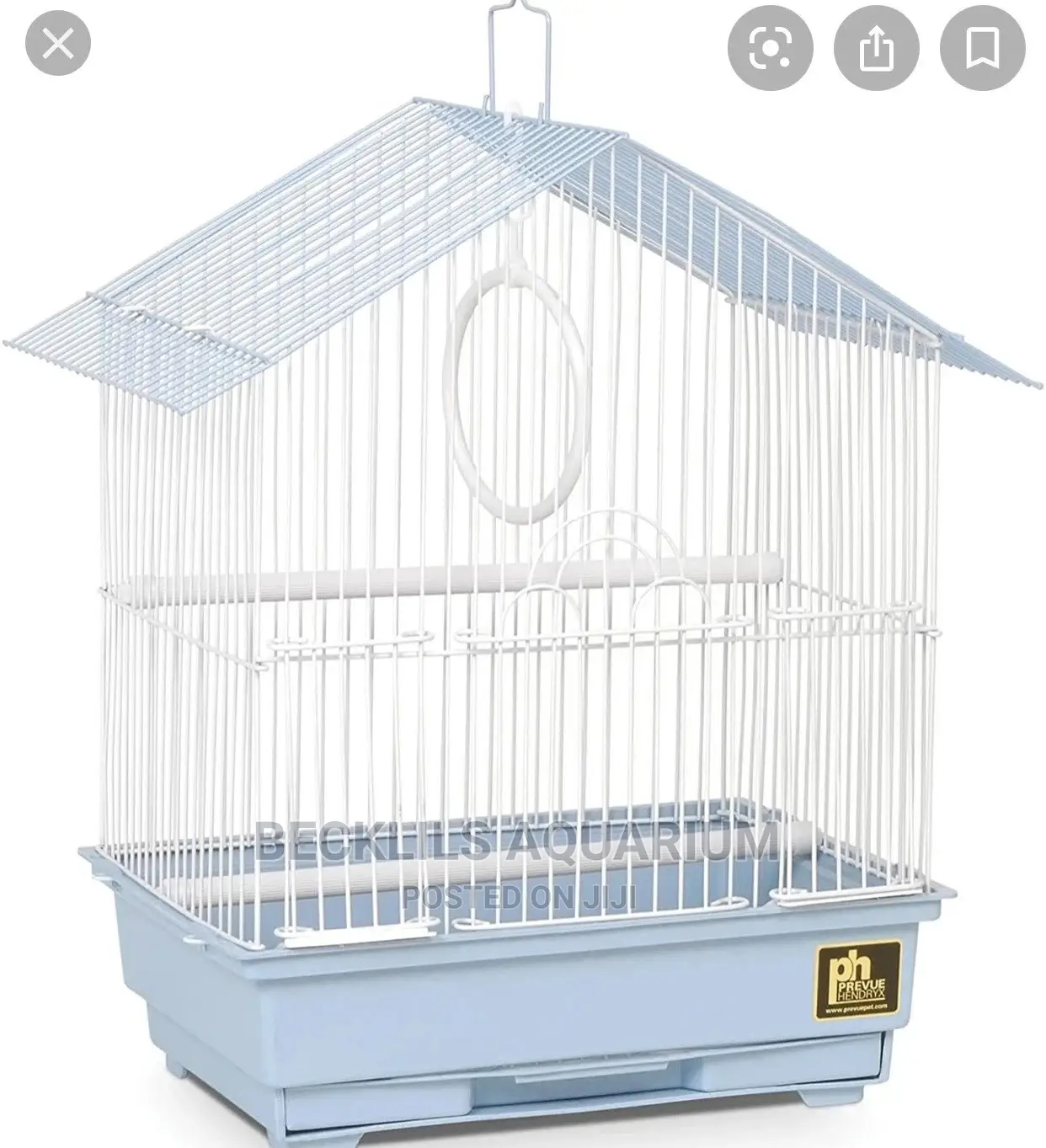 Birds Cages