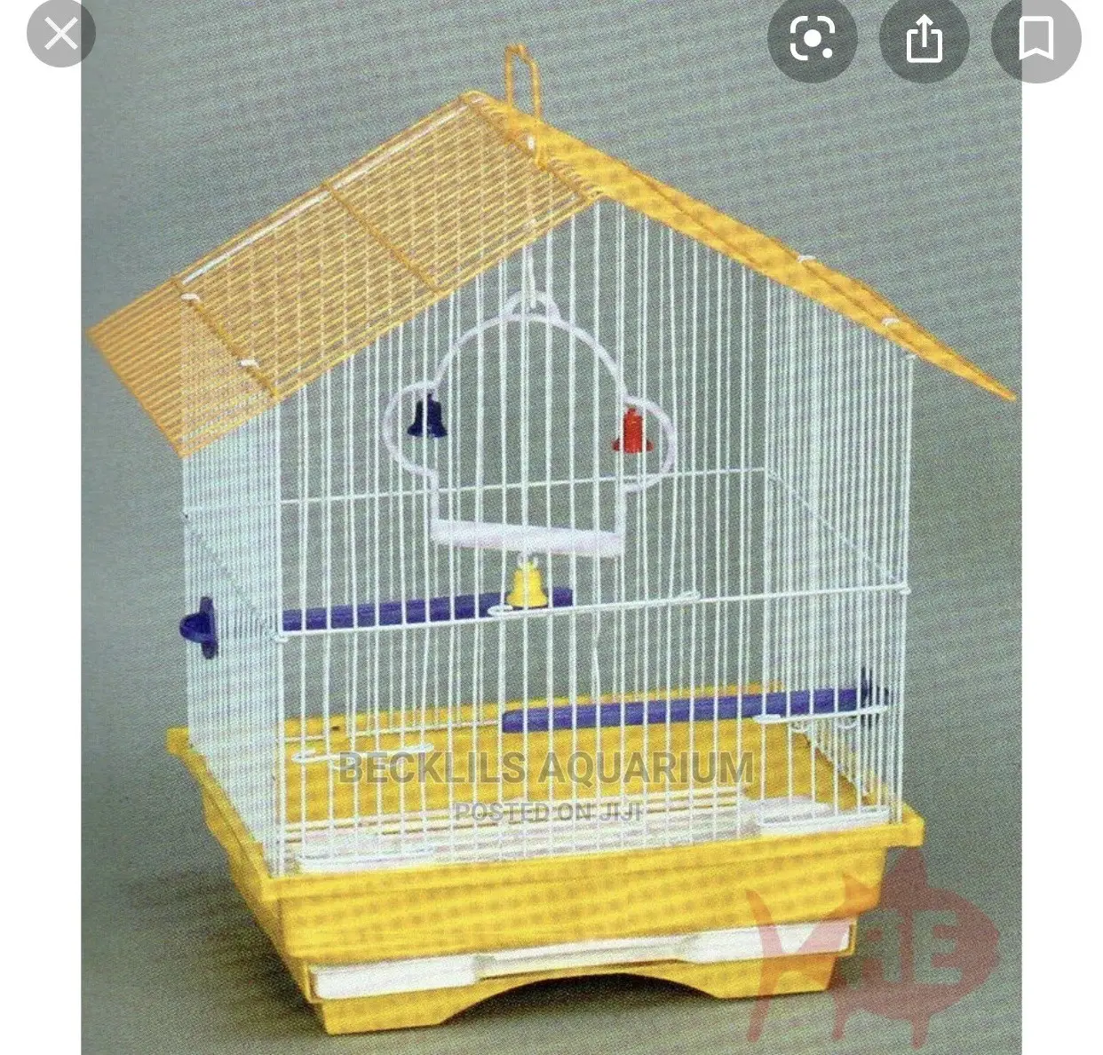 Birds Cages