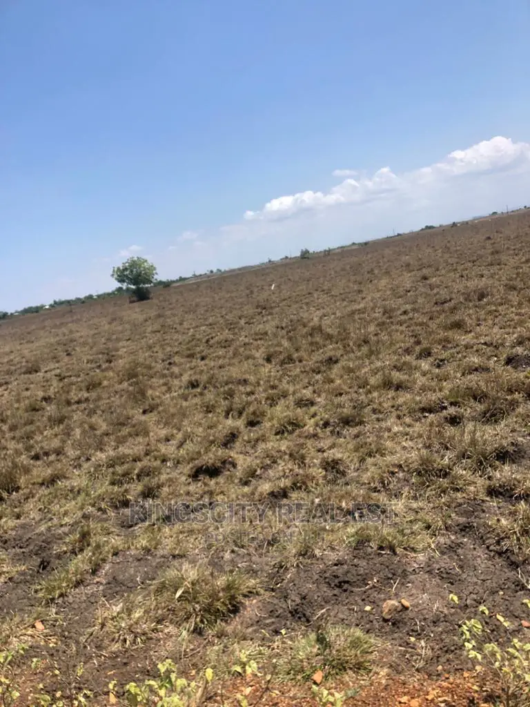 Payment Plan Land at Tsopoli for Sale