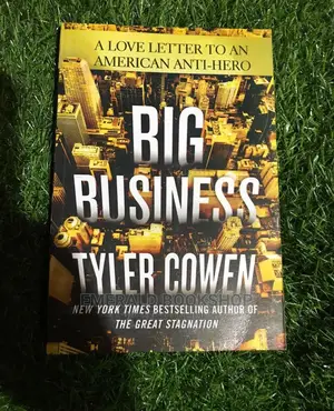 Big Business Fairly Use