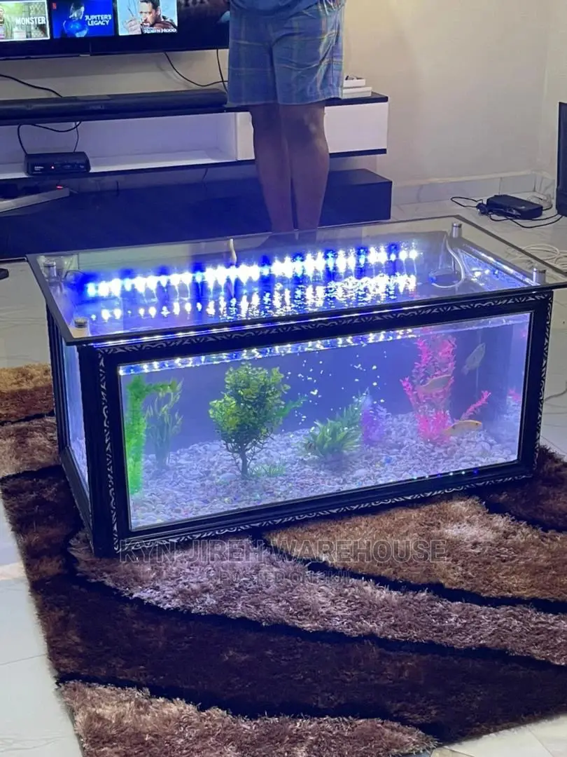 Aquarium Glass Center Table