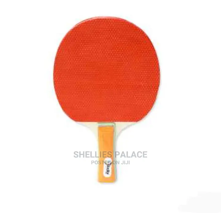 Ping Pong Paddle and Table Tennis Set