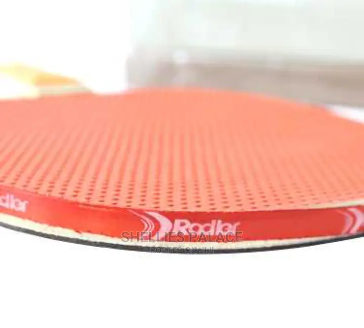 Ping Pong Paddle and Table Tennis Set