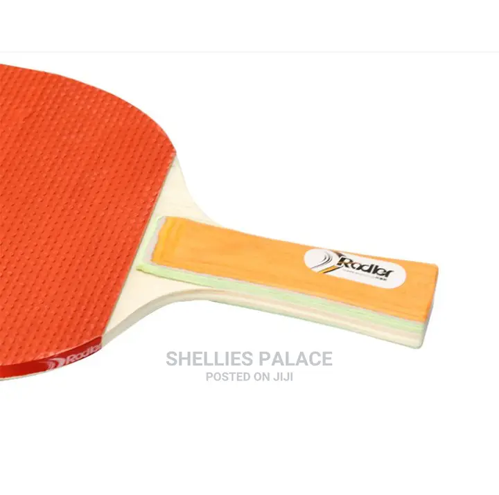 Ping Pong Paddle and Table Tennis Set