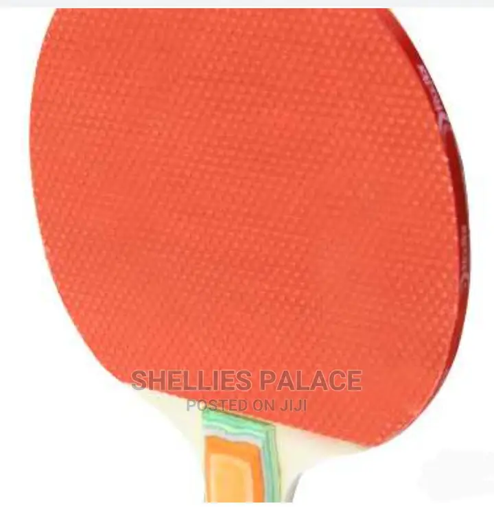Ping Pong Paddle and Table Tennis Set