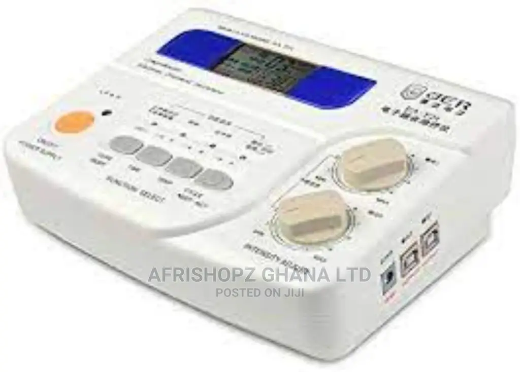 Electronic Pulse Massager