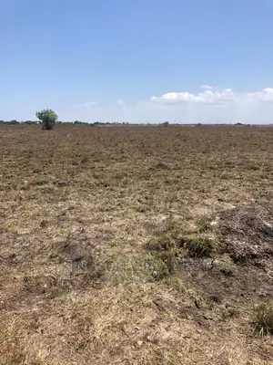Plots for Sale at Tsopoli