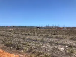 Neat and Flat Plots for Sale at Tsopoli