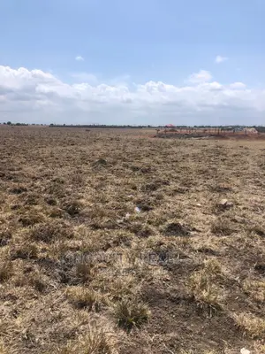 Neatly Demarcated Plots at Tsopoli for Sale