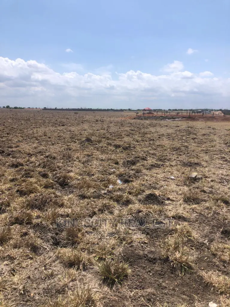 Neatly Demarcated Plots at Tsopoli for Sale