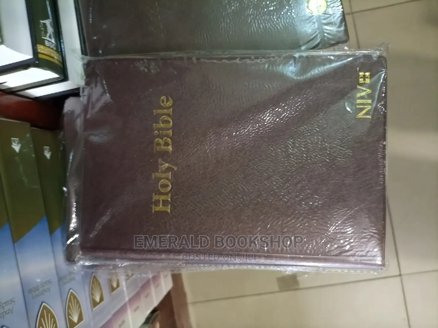 Holy Bible for Sale