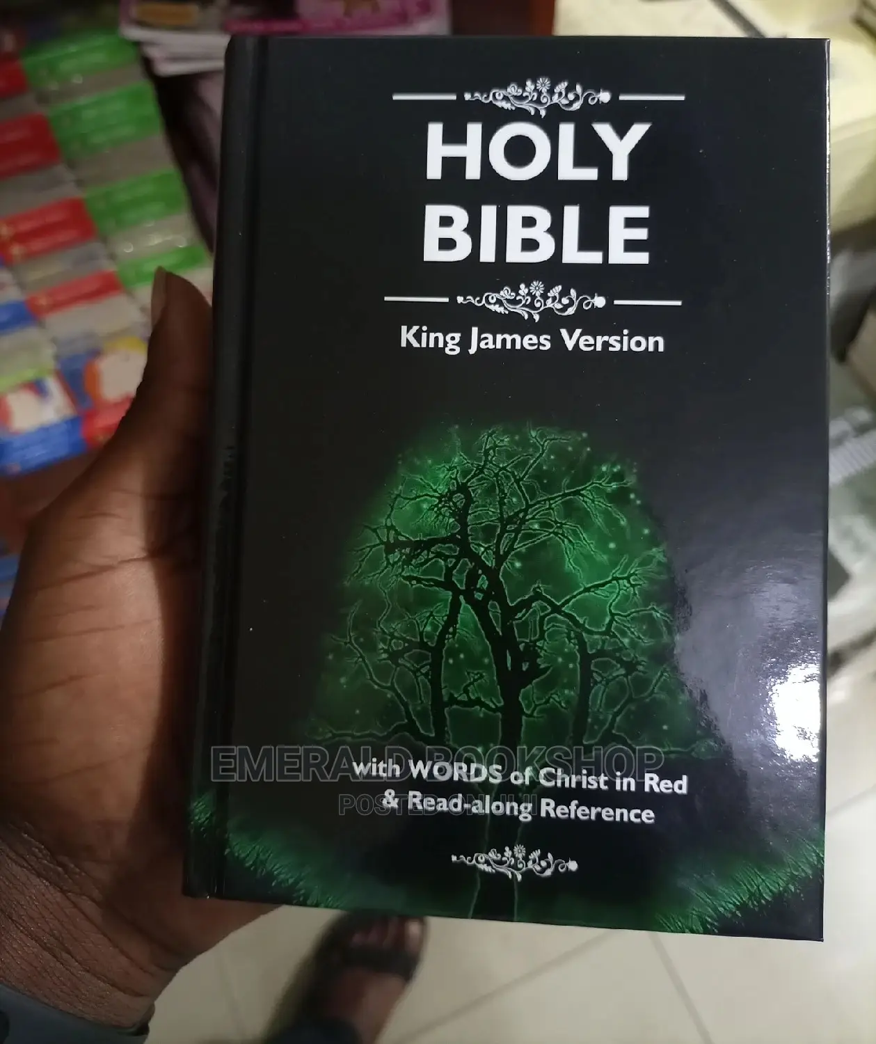 Holy Bible for Sale