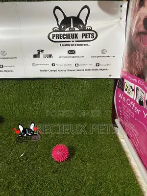 Lightening Ball Like Toys for Dogs