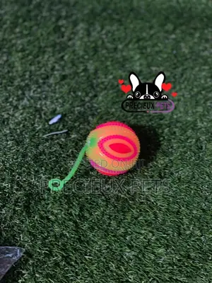 Led Display Toys for Dogs