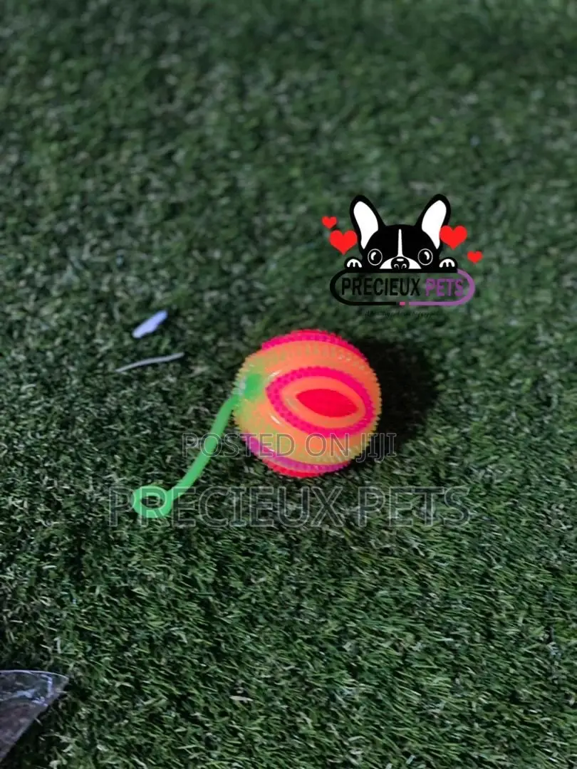 Led Display Toys for Dogs