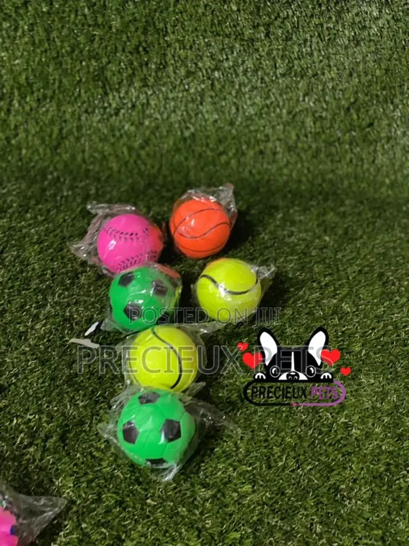 Colored Balls for Toys Dogs