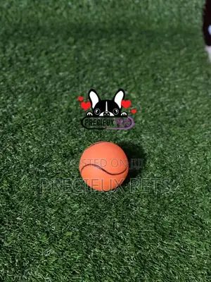 Colored Balls for Toys Dogs