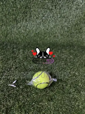 Colored Balls for Toys Dogs