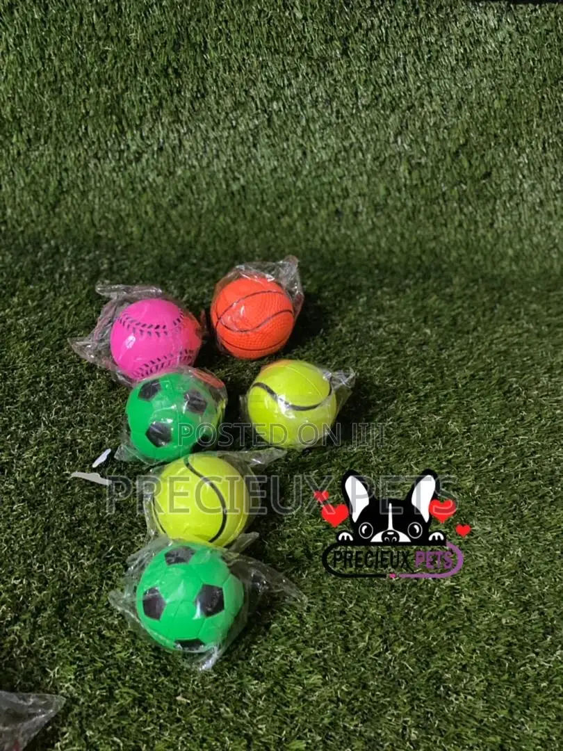 Colored Balls for Toys Dogs
