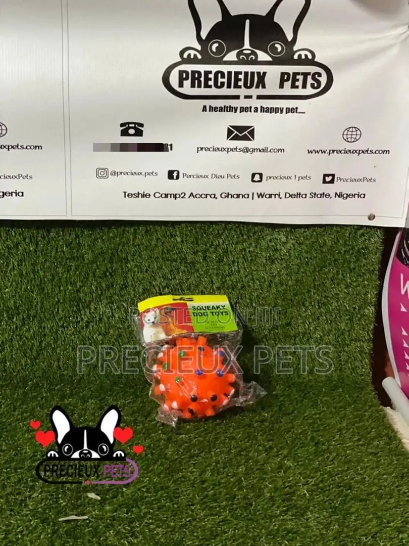 Medium Size Balls for Toy Dogs