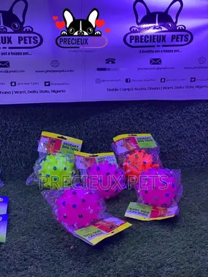 Medium Size Balls for Toy Dogs