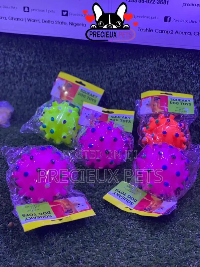 Medium Size Balls for Toy Dogs