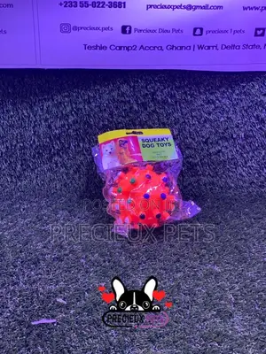 Medium Size Balls for Toy Dogs