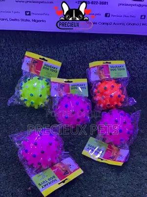 Medium Size Balls for Toy Dogs