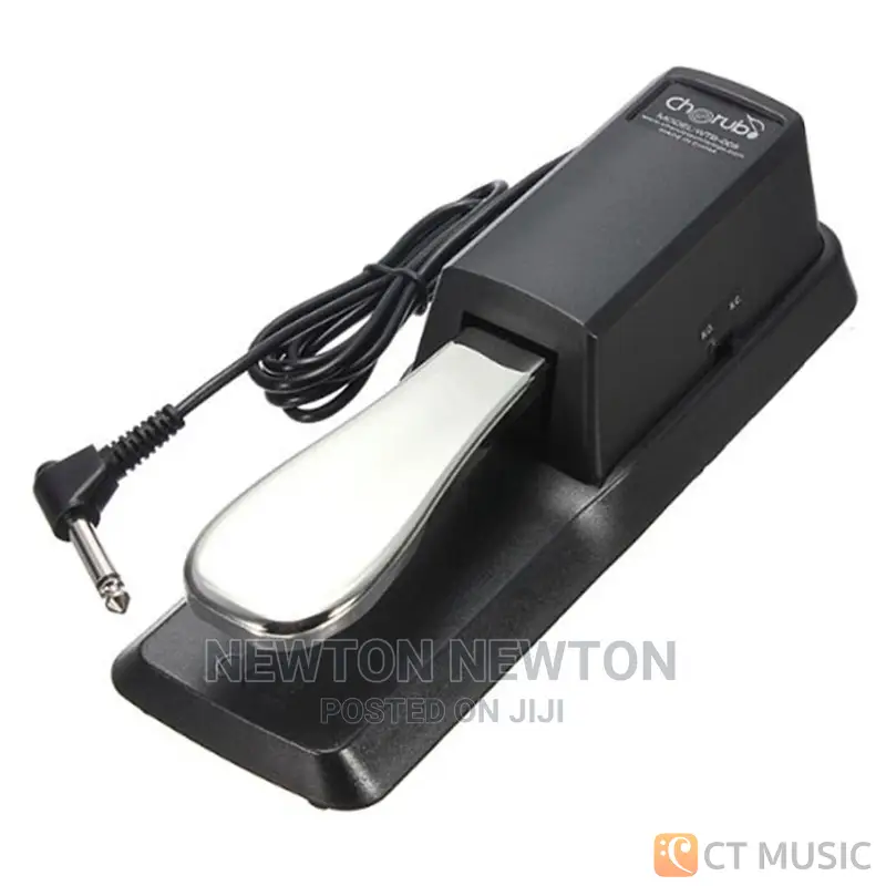 Sustain Pedal