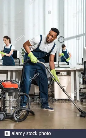 We Cleans House Working Places