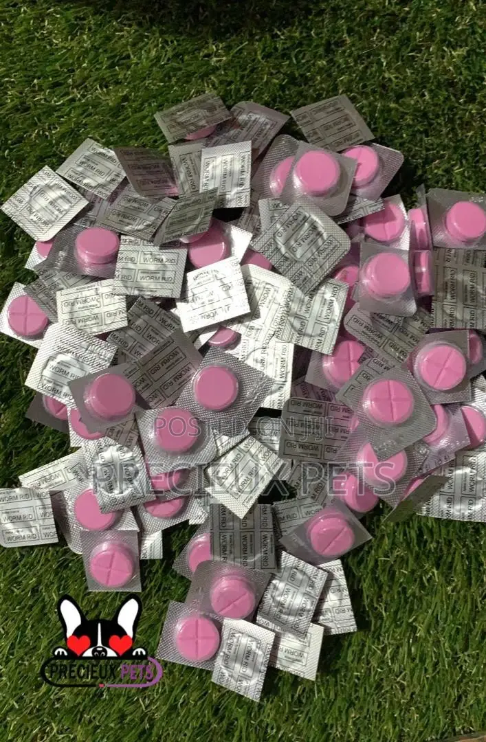 Worm Rid Dewoormer Tablet for Cats and Dogs