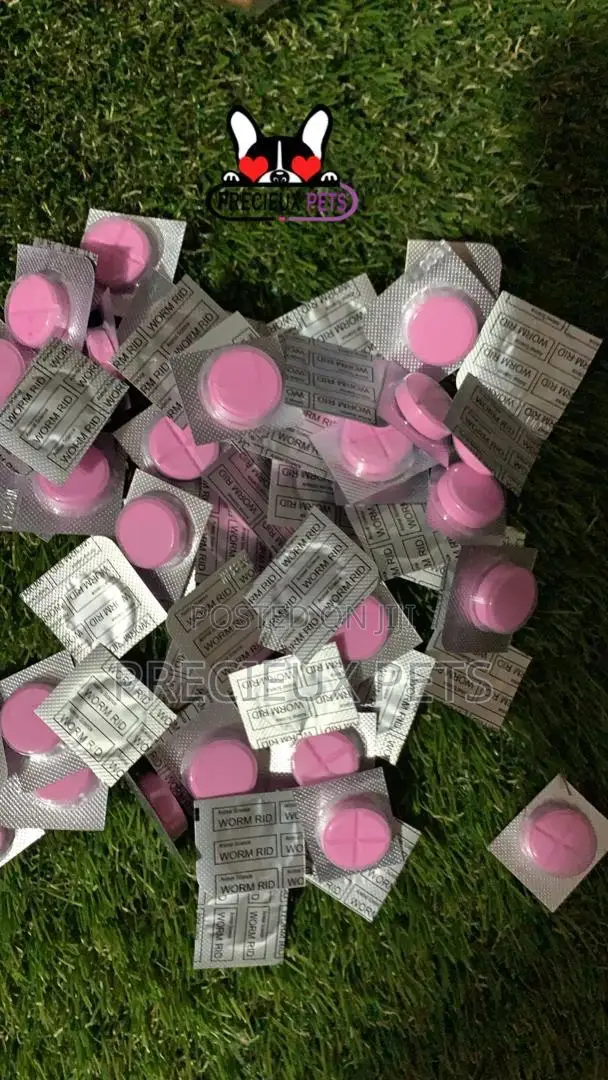 Worm Rid Dewoormer Tablet for Cats and Dogs