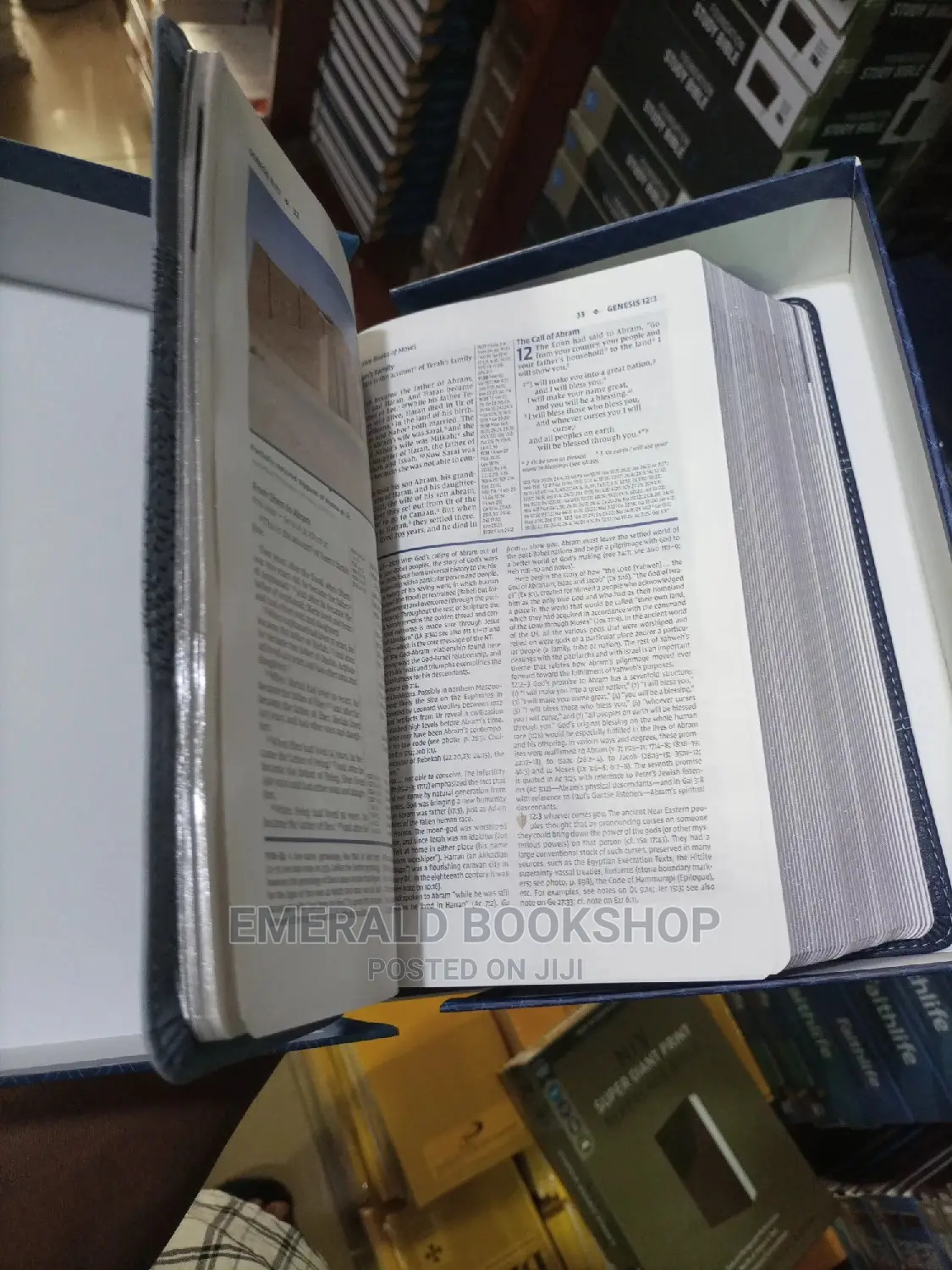 Niv Study Bible (Personal Size)