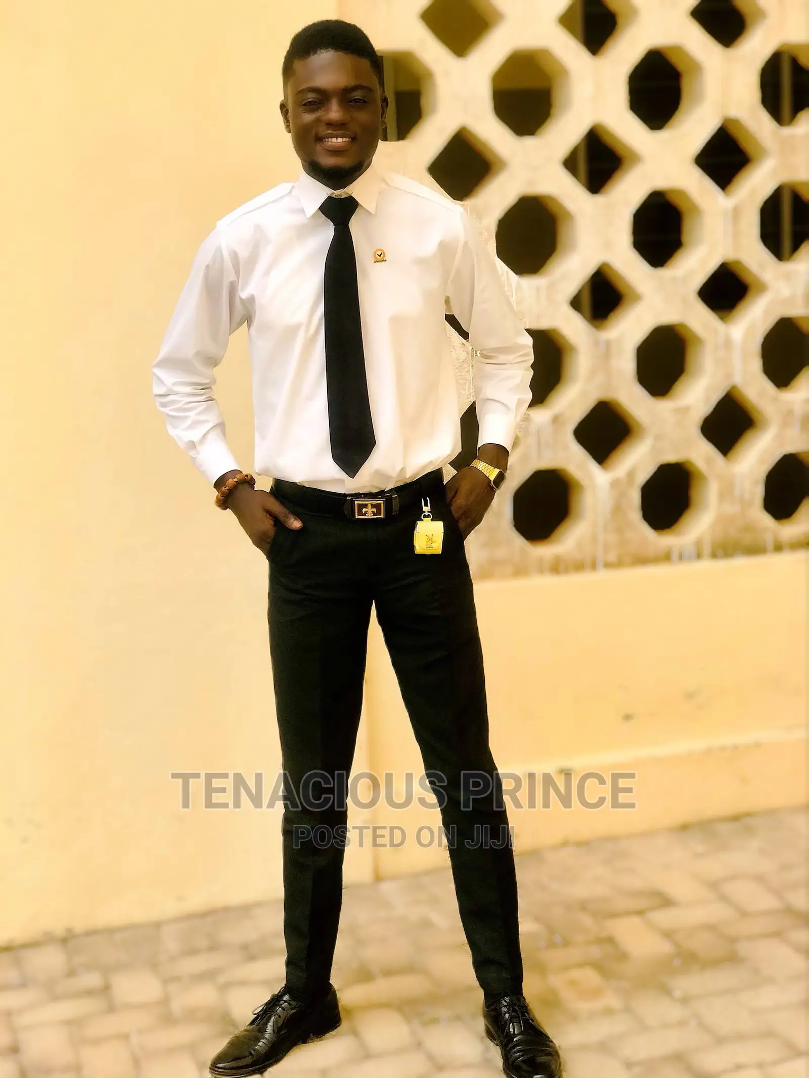 Management CV